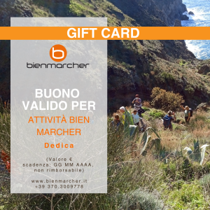 gift card bien marcher