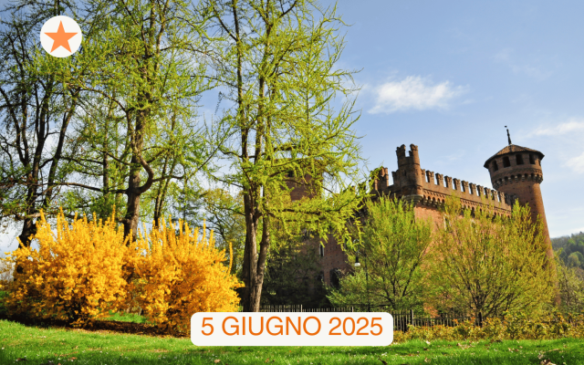 alberi monumentali di torino