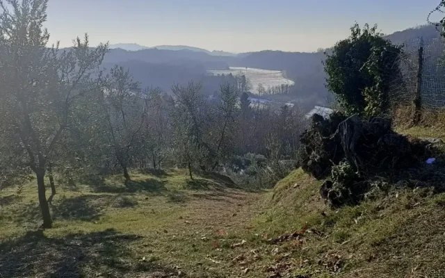 I massi erratici di Vialfrè