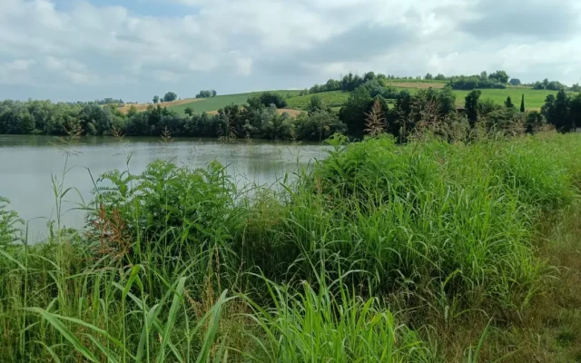 Dalla rocca di Arignano al lago, giro ad anello